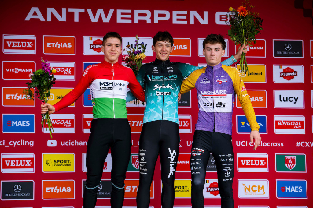 ANT_8734.jpg (271 KB)