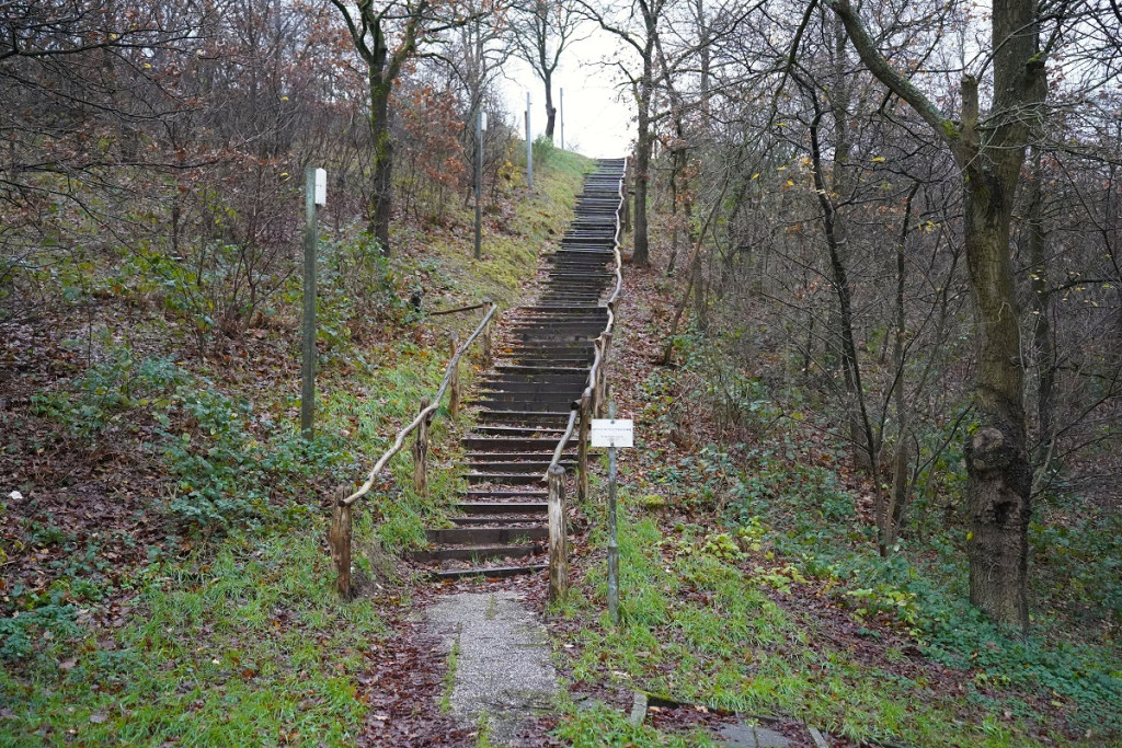 Ek Veldrijden 2026 - Trap in Zeddam.JPG (389 KB)